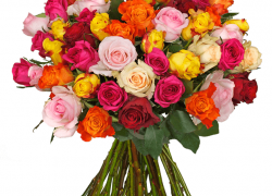 Blumenstrauß “Colorful-Roses” mit 35 bunten Rosen für 21,98€