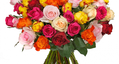 Blumenstrauß “Colorful-Roses” mit 35 bunten Rosen für 21,98€
