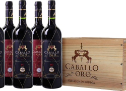 6 Flaschen „Caballo de Oro“ Selección de Bodega in Holzkiste für 45,94€ inkl. Versand