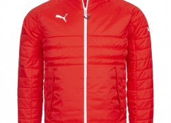 PUMA Esito 3 Herren Stadion Winter Jacke (653978-01) für 22,22€