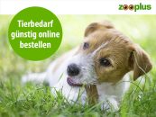 Zooplus – ZOODAYS – bis 30% Rabatt!