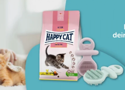 ZooRoyal – Welpen & Kitten – Futter und Zubehör im Angebot mit bis zu 30% Rabatt!