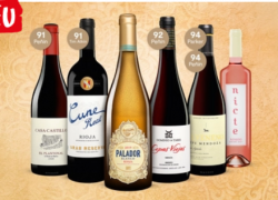VINOS – Jubiläumsrabatt mit bis zu 40% Preisvorteil!