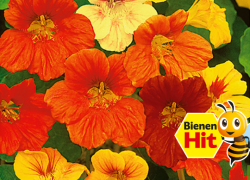 BALDUR-Garten – Sommer Angebote – bis zu 30% Rabatt!