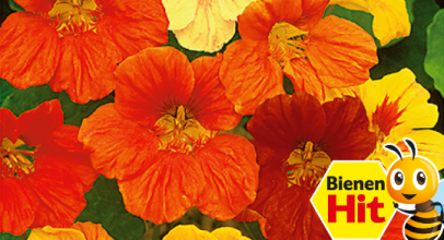 BALDUR-Garten – Sommer Angebote – bis zu 30% Rabatt!