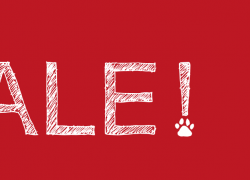 Vertbaudet – Bis zu -70% im Final Sale!