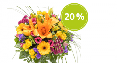 Valentins – Persönlicher 20% Begrüßungs-Gutschein bei deiner ersten Anmeldung!