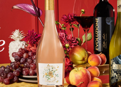 HAWESKO – HERBST – Fest der Sinne – bis 50% Rabatt!