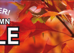 OBOY – Special offer! – AUTUMN SALE – bis zu 80% Rabatt!