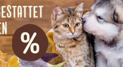ZooPlus – Herbstliche Angebote auf Hunde- und Katzenzubehör!