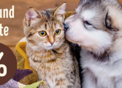 Zooplus – Kuscheldecke und Herbst Angebote – bis 20% Rabatt!