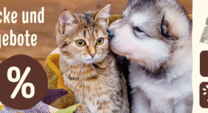 Zooplus – Kuscheldecke und Herbst Angebote – bis 20% Rabatt!