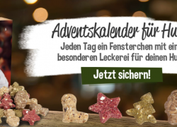 Schecker Adventskalender für Hunde für 8,95€!