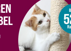 ZooRoyal – Tierischer Kratzmöbel Rabatt mit bis zu 52% Rabatt!