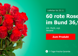123Blumenversand: 20 rosa Rosen im Bund mit Vase für 36,99€!