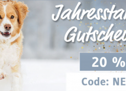 Alsa-Hundewelt – Jahresstart – 20% Rabatt!