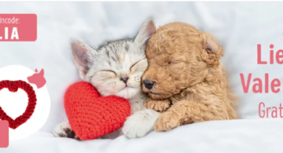 Alles Liebe zum Valentinstag bei zooplus.de – Gratis Spielzeug sichern!