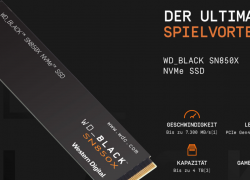 WD_BLACK SN850X NVMe SSD 4 TB interne SSD (Gaming Speicher, PCIe Gen4-Technologie, Lesen 7.300 MB/s, Schreiben 6.600 MB/s) Schwarz, Standard für 279€ inkl. Versand!