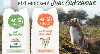 alsa-hundewelt – 18% Hundefutter & 16% auf ein Produkt deiner Wahl!