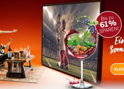 Ebrosia Wein-Shop – Köstliches Sommermärchen – bis zu 61% Rabatt!