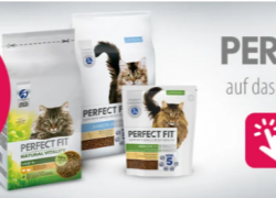 Zooplus – PERFECT FIT 20% Rabatt auf das gesamte Sortiment!