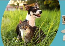 ZooRoyal – SOMMER SALE mit bis zu 30% und mehr Rabatt!