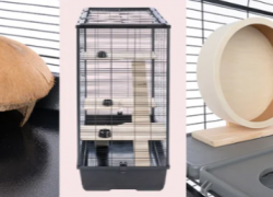 ZooPlus – bis 45% Extra-Rabatt auf ausgewählte Produkte!