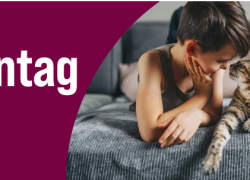 ZooRoyal – Weltkatzentag – 10% Rabatt!