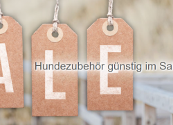 Schecker.de – Großer Restposten Sale – bis 50% Rabatt!