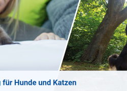 AGILA – Die Tierversicherung für Hunde und Katzen ab 4,08€ monatlich!