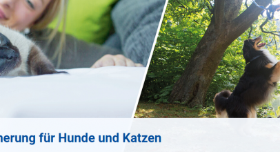 AGILA – Die Tierversicherung für Hunde und Katzen ab 4,08€ monatlich!