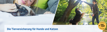 AGILA – Die Tierversicherung für Hunde und Katzen + Wunschgutschein in Höhe von 15€ sichern!
