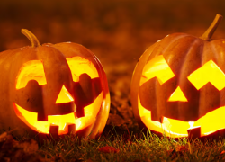 Medion – Gruselig gut – Angebote mit bis zu 60% Rabatt!