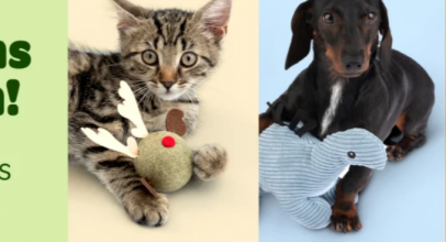 Zooplus -15% Extra-Rabatt auf ausgewähltes Spielzeug!