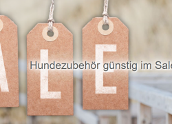 Schecker.de – Saisonale Produkte + Sale – bis 40% Rabatt!