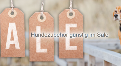 Schecker.de – Saisonale Produkte + Sale – bis 40% Rabatt!