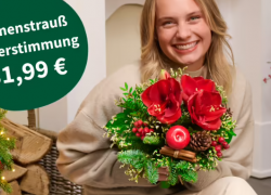 FloraPrima – 10% Frühbucher-Rabatt für Weihnachten!
