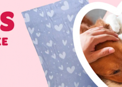 zooplus – VALENTINSTAG – bis 20% Rabatt auf ausgewählte Produkte + Gratis Kuscheldecke!