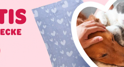 zooplus – VALENTINSTAG – bis 20% Rabatt auf ausgewählte Produkte + Gratis Kuscheldecke!
