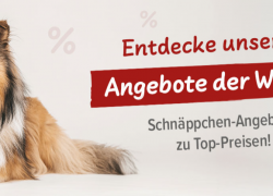Schecker.de – % Rabatte % im Sale!