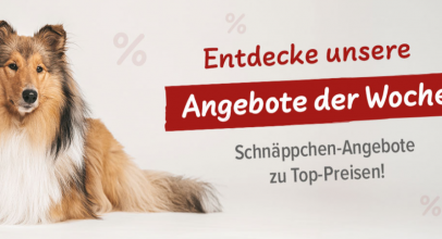 Schecker.de – % Rabatte % im Sale!