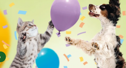 Fressnapf-Online-Shop – 35 Jahre – Jubiläums Angebote – bis 20% Rabatt!