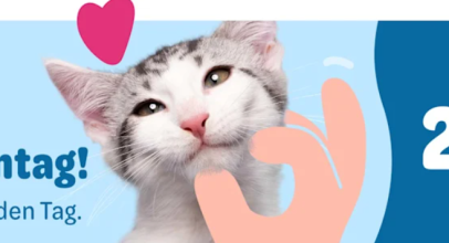 Zooplus – WELTKATZENTAG – bis zu 20% Rabatt auf Futter & Zubehör!