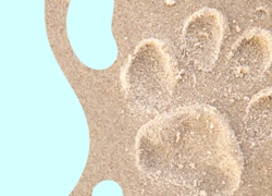 Zooplus – Sommer-Angebote – bis 20% Rabatt auf tierische Lieblingsprodukte!