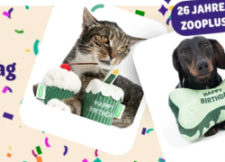 Tolle Geburtstagsangebote für euer Haustier bei zooplus –  26 Jahre zooplus – bis 50% Rabatt!