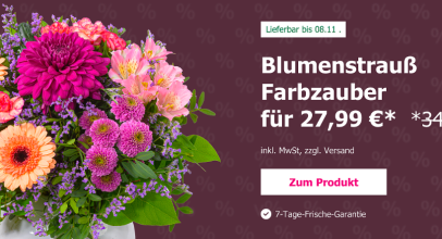123Blumenversand – Blumenangebote mit über 48% Rabatt!