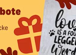 Zooplus – Heiße Angebote für kalte Tage + gratis Kuscheldecke – bis zu 25% Rabatt!