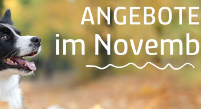alsa-Hundewelt – Angebote im November – bis 25% Rabatt!