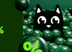 Zooplus – CYBER DEALS – Die besten Angebote – bis zu 40% Rabatt!