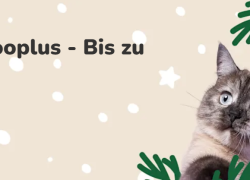 Zooplus – Ho-Ho-Hol dir die besten Deals – bis zu 25% Rabatt!